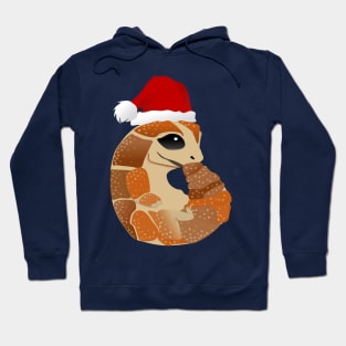 Amos The Christmas Lizard Hoodie